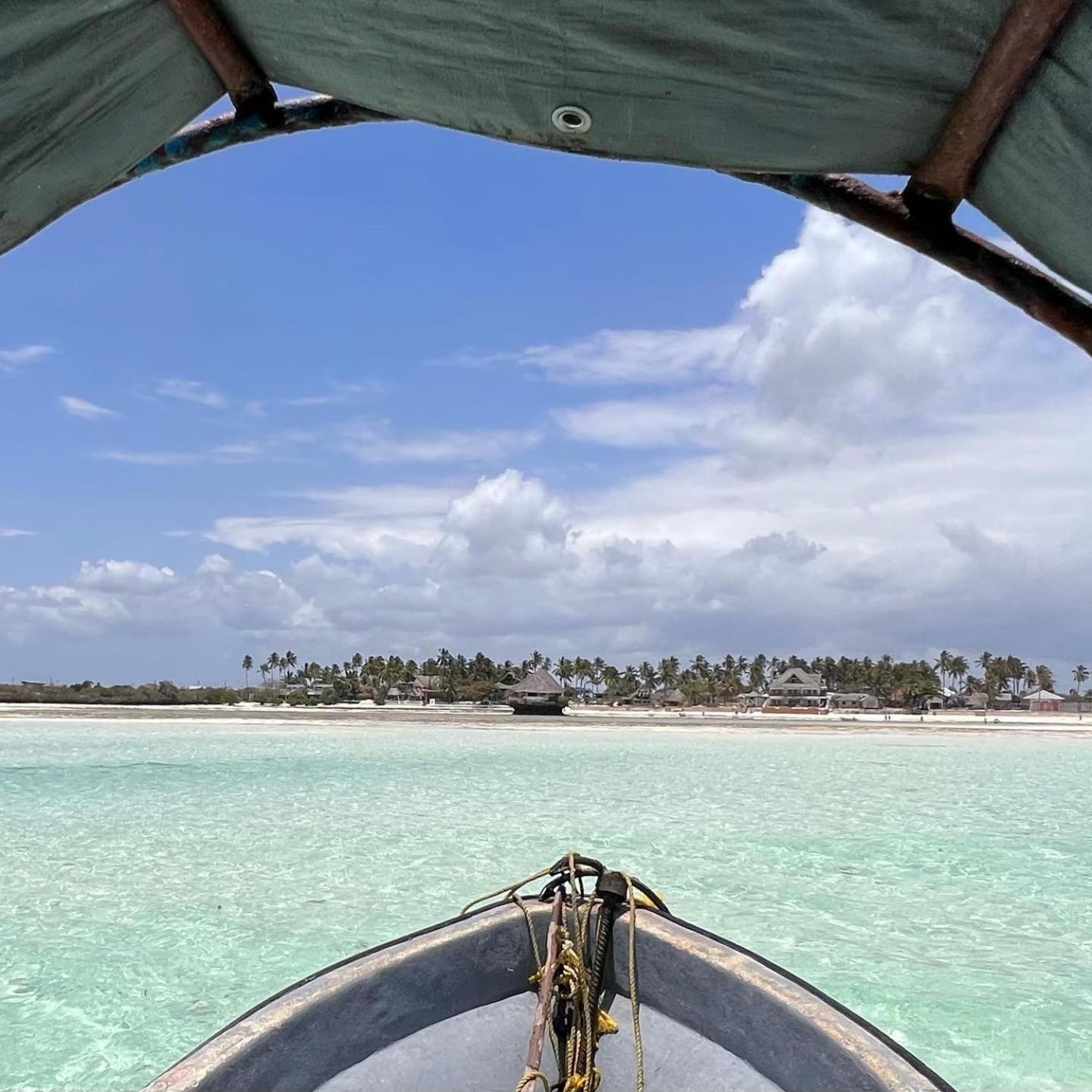 The View Of Zanzibar Appartement Michamvi