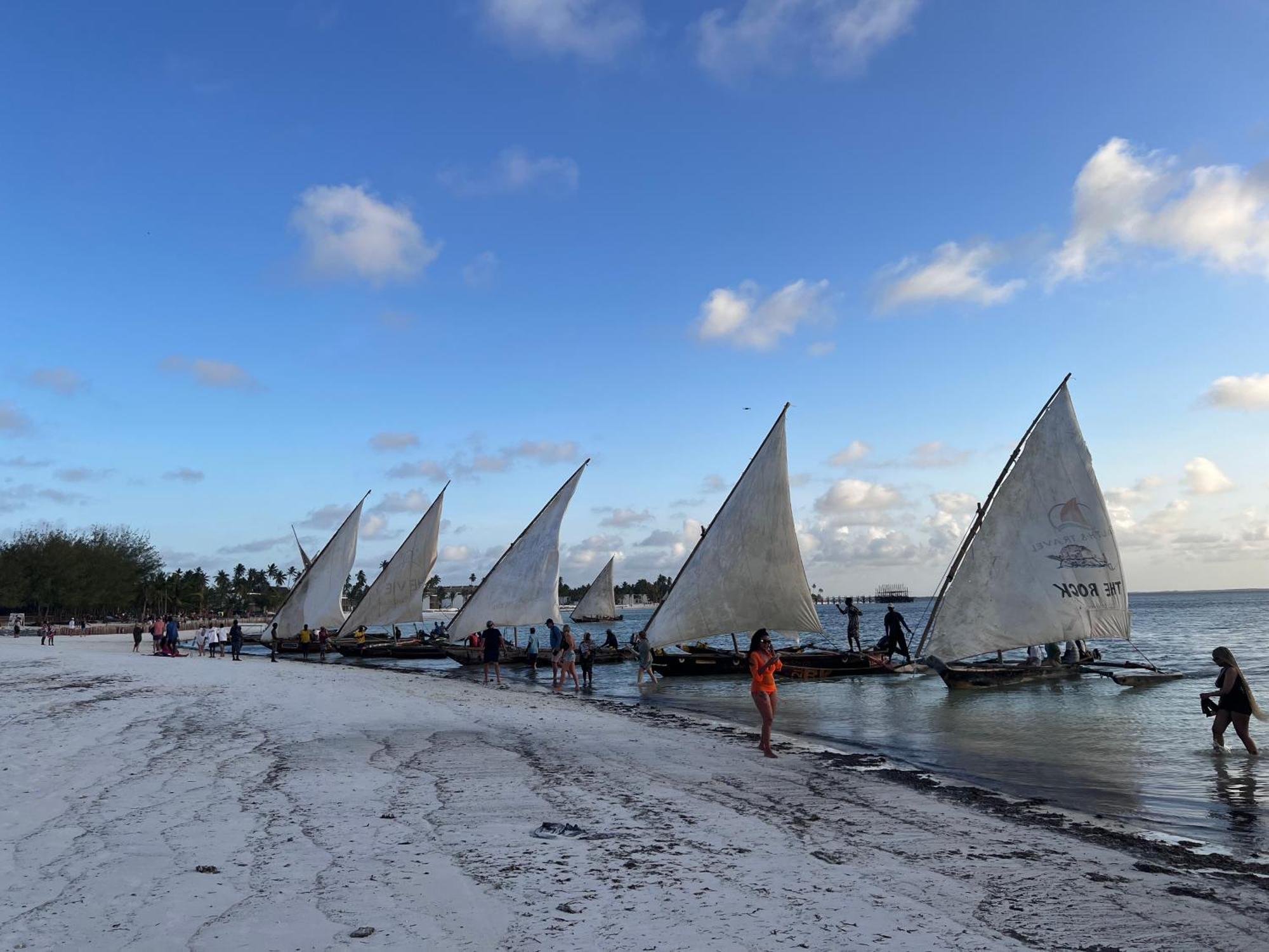 The View Of Zanzibar Michamvi