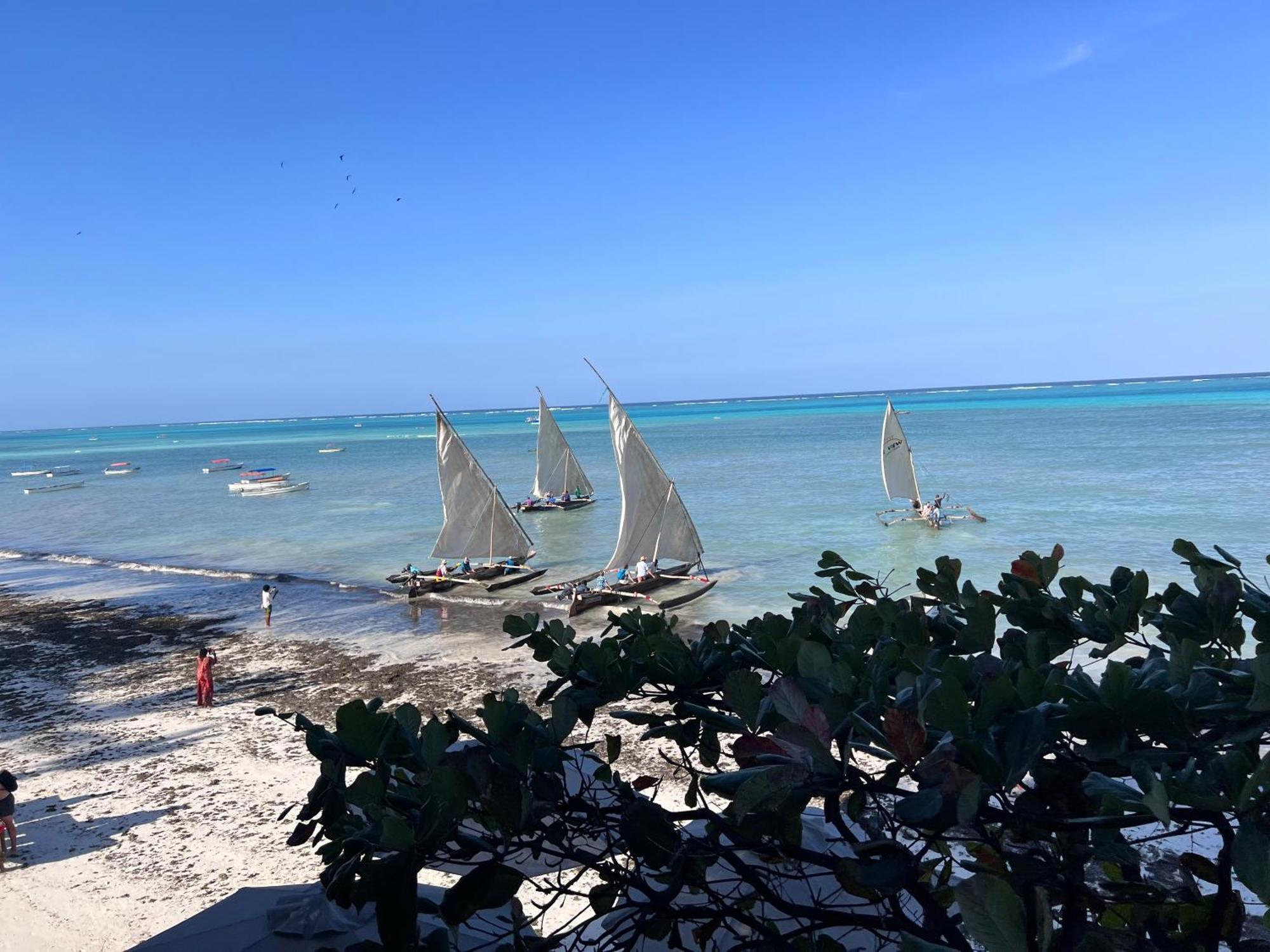 Appartement The View Of Zanzibar Michamvi
